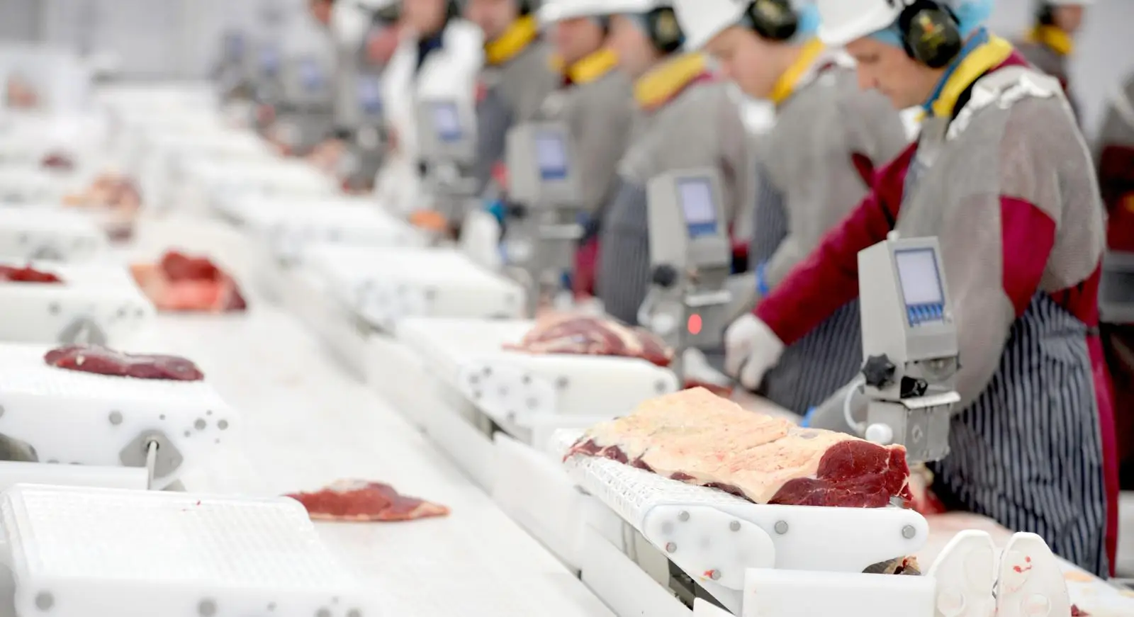 WhatsApp Image 2025 12 28 at 4.00.54 PM